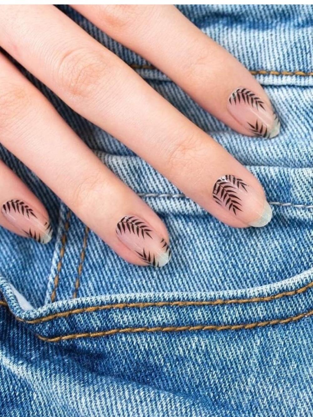 Color Street Palm Before the Storm FDL040 clear overlay black leaf design 16pcs - Picture 3 of 11